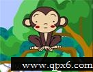The monkey with many friend